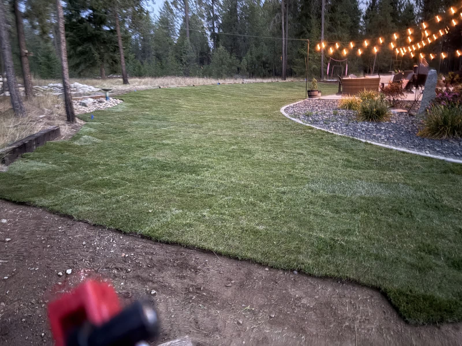 After: A wooded North Idaho backyard going from bare, graded soil to a finished green sod lawn around a string-lit patio.