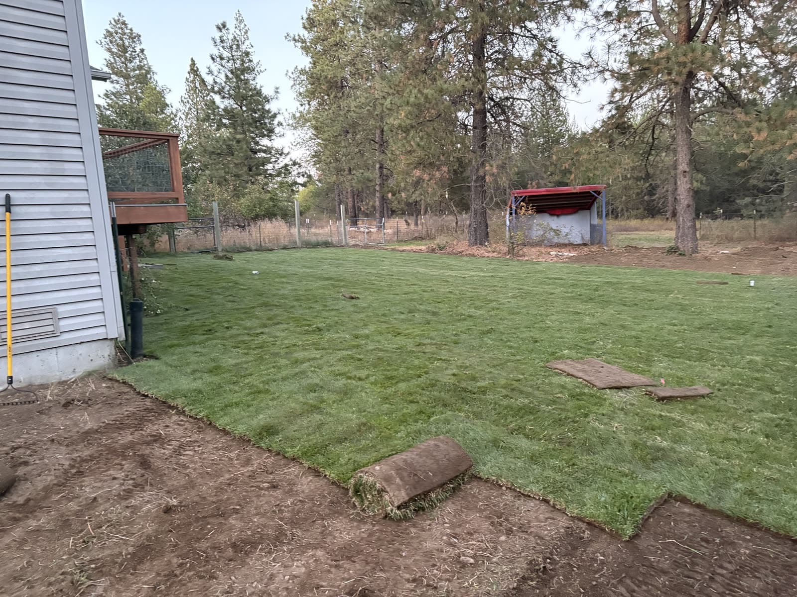 A crew laying fresh strips of green sod across a graded yard.