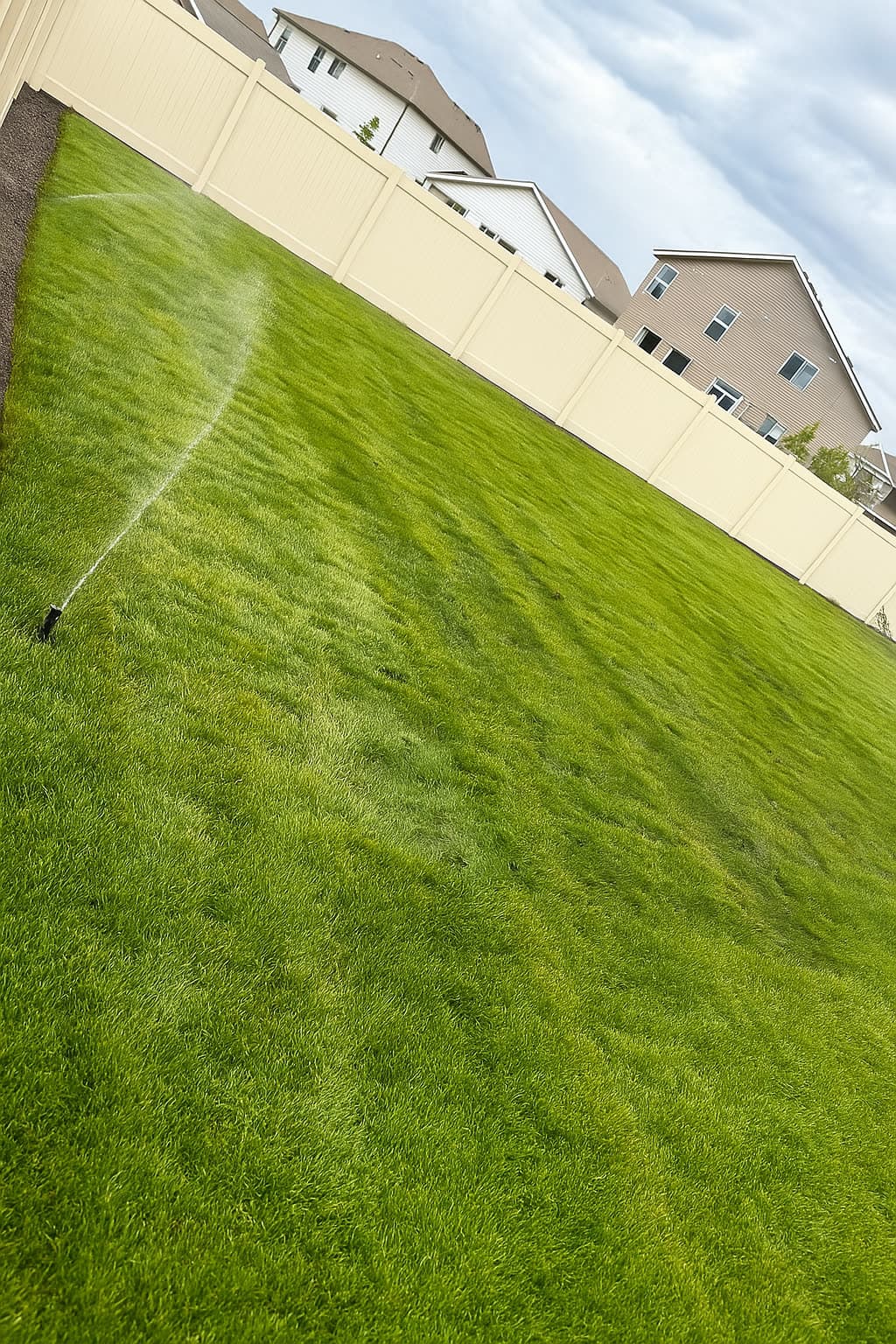 An in-ground sprinkler watering a freshly established green lawn